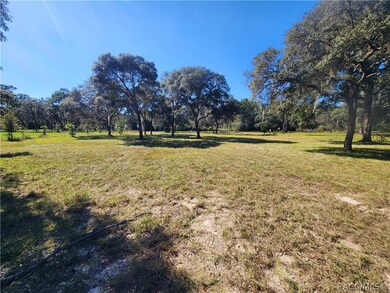 0 SW 189th Ave unit 817239, Dunnellon, FL 34432 - photo 3