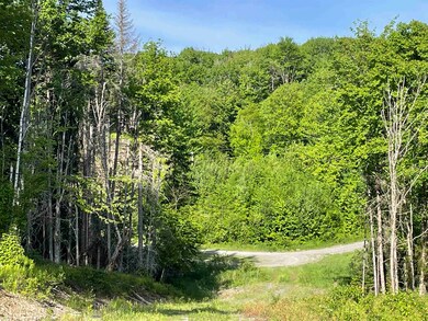 72 Meadow View Dr unit 32, Pittsburg, NH 03592 - photo 6