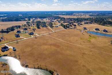land picture