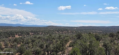 8200 W Rolling Ridge Rd, Ash Fork, AZ 86320 - photo 7
