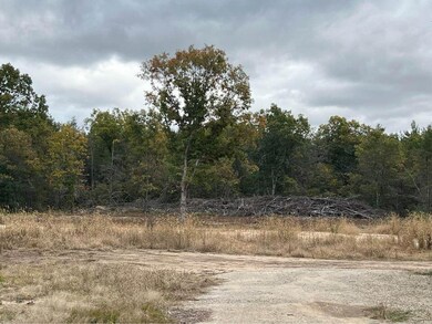 Newaygo 4
