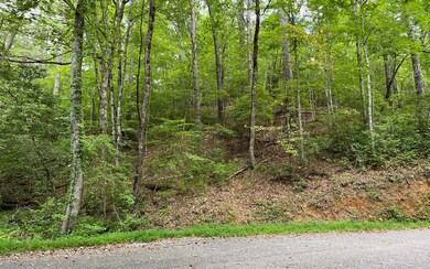 Additional View