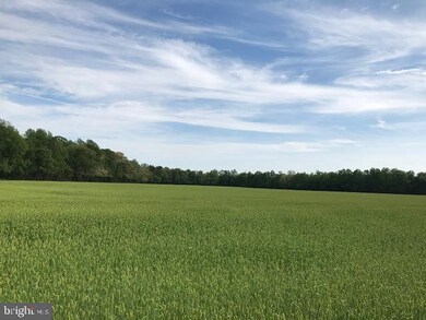 Lot 2 Church Hill Rd unit 2, Milford, DE 19963 - photo 5