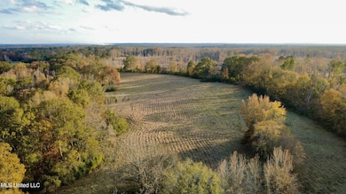 3142 King Rd, Wesson, MS 39191 - photo 6