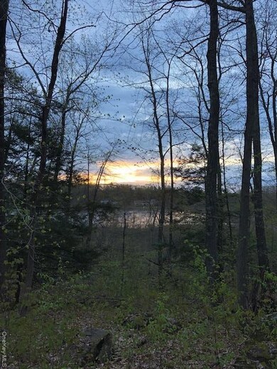 0 Lily Lake Rd unit KEY908782, Lloyd, NY 12528 - photo 5