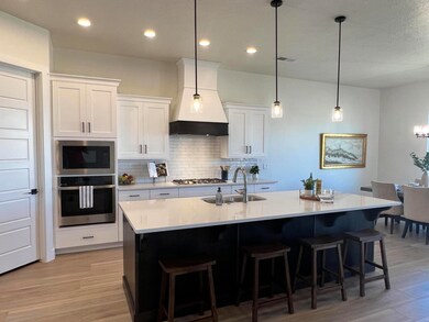 CAS 5 Kitchen 2