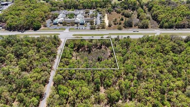 161 W Norvell Bryant Hwy, Hernando, FL 34442 - photo 4