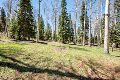 971 N 725 W Brian Head-49