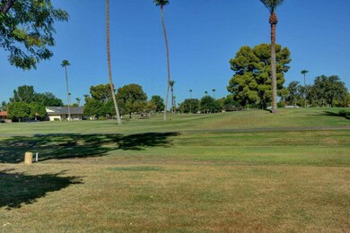 10022 W Highwood Ln, Sun City, AZ 85373 - photo 7