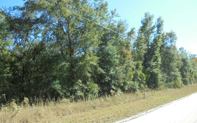 0 Suwannee Woodlands Ln, O'Brien, FL 32071 - photo 3