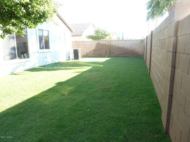 LARGE BACKYARD