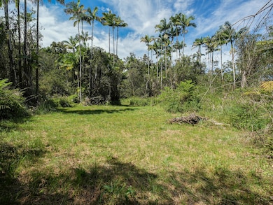 0 Volcano Rd unit 725030, Volcano, HI 96785 - photo 4