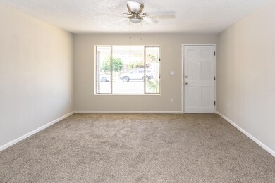 Palm Lane Real Estate Photos-107