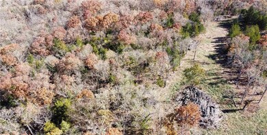 11.8 Acres Whitetail Way, Cole Township, MO 65338 - photo 4