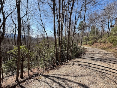 TBD Laurel Ln, Nantahala, NC 28781 - photo 5