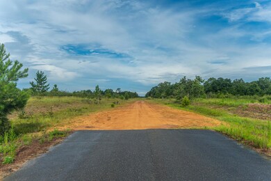 12-web-or-mls-Long Branch Farms Parcel-1