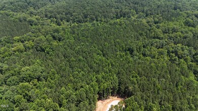 3288 Runner Stone Ln, Franklinton, NC 27525 - photo 4