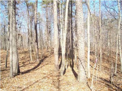 55 0 Beaten Path 4