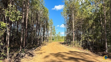 0 Peurifoy Rd unit 25510565, Walterboro, SC 29488 - photo 4