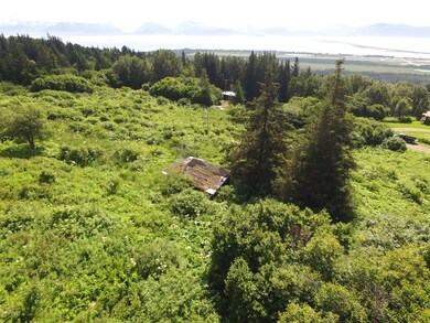 drone view of old cabin