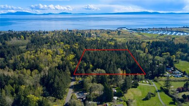1751 Benson Rd, Point Roberts, WA 98281 - photo 6
