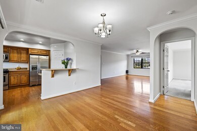 2 Smeton Place unit 2E, Towson, MD 21204 - photo 6