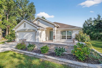 8703 SE 159th Place, Summerfield, FL 34491 - photo 4