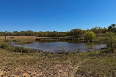 2929 Farm To Market Road 2146, Poteet, TX 78065 - photo 6