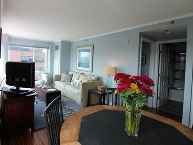 Regatta Riverview Residences unit 517, Cambridge, MA 02141 - photo 6