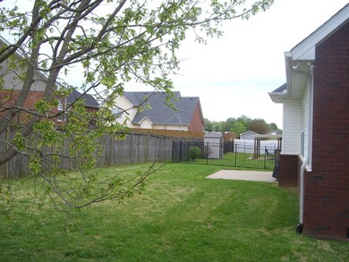 Back yard privacy