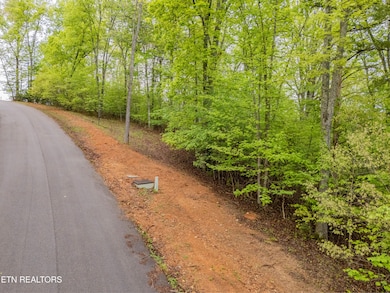 DJI_20250424093625_0455_D-HDR