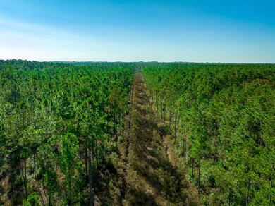 Hwy 45, Loris, SC 29569 - photo 5
