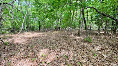 0 Storrs Rd unit 2 170571015, Mansfield Center, CT 06250 - photo 4