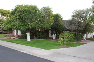 Front driveway IMG_1348