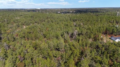 0 SW 177th St unit MFROM714928, Ocala, FL 34473 - photo 6