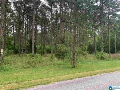 0000 Cane Creek Ln unit 15, Sylacauga, AL 35151 - photo 2