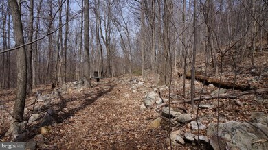 Off Cold Run Valley Rd, Berkeley Springs, WV 25411 - photo 7