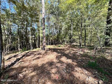 10696 Bobcat Ln.-Photo Woods