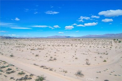 82480 Pipeline Rd, Wonder Valley, CA 92277 - photo 5