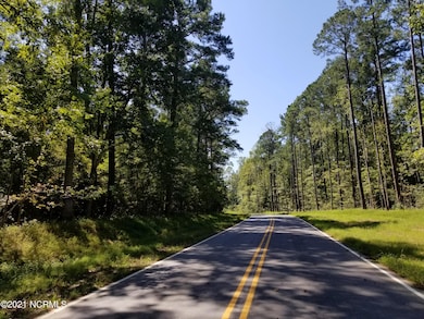 1044 Mackerel Manor, New Bern, NC 28562 - photo 4