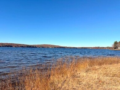 Pattee Pond