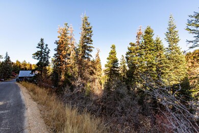 165 Paradise Road Park City UT-004-003-P