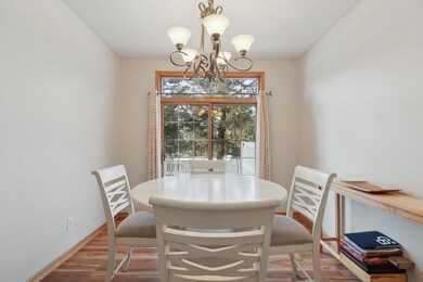 3824 Vermilion Ct S unit 101, Saint Paul, MN 55122 - photo 7