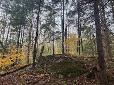 Potential Mountain Views with Clearing