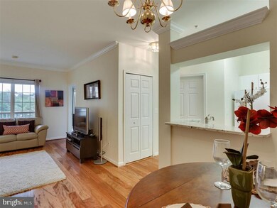 4551 Strutfield Ln unit 4217, Alexandria, VA 22311 - photo 5