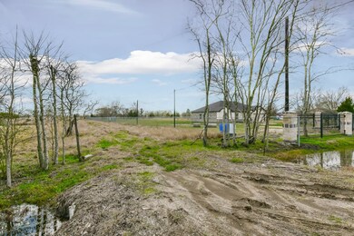 2913 County Road 179, Alvin, TX 77511 - photo 4