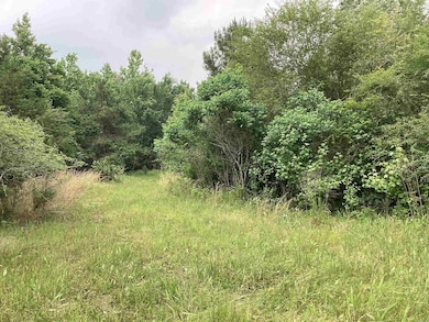 1006 Hempstead 24 Rd, Blevins, AR 71825 - photo 6