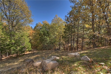 28315 N Bay Rd unit 3, Lake Arrowhead, CA 92352 - photo 6