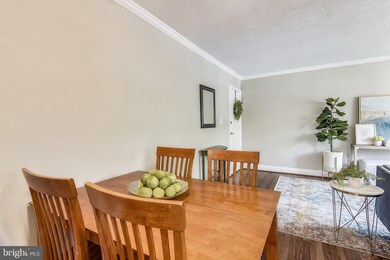 2241 Farrington Ave unit 203, Alexandria, VA 22303 - photo 6