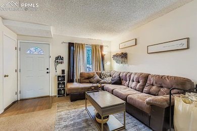 4386 Hawks Lookout Ln unit L2, Colorado Springs, CO 80916 - photo 5